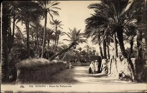 Ak Biskra Algerien, im Palmenhain