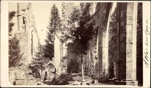 CdV Oppenau im Schwarzwald, Klosterruine Allerheiligen