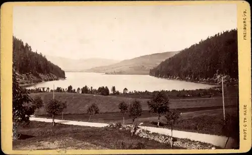 CdV Blick über den Titisee