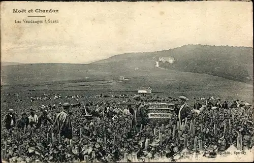 Ak Saran Loiret, Moet et Chandon, Les Vendanges