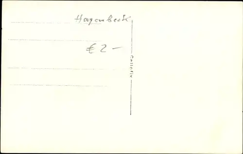 Ak Hamburg Eimsbüttel Stellingen, Carl Hagenbecks Tierpark, Pinguine