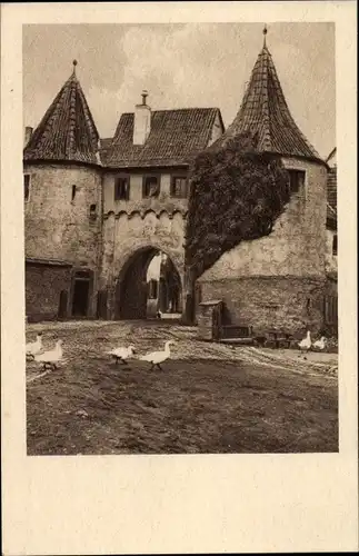 Ak Prichsenstadt im Steigerwald, Vorm Tor, Gänse