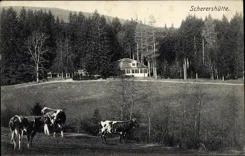 Ak Ohrdruf in Thüringen, Scherershütte, Kühe