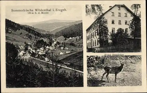 Ak Wildenthal Eibenstock im Erzgebirge, Sommerfrische, Hotel Drechsler, Hirsch