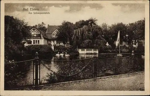 Ak Bad Elmen Salzelmen Schönebeck an der Elbe, Schwanenteich