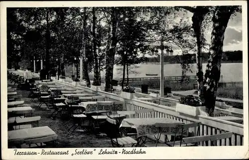 Ak Lehnitz an der Nordbahn Oranienburg, Terrassen-Restaurant Seelöwe