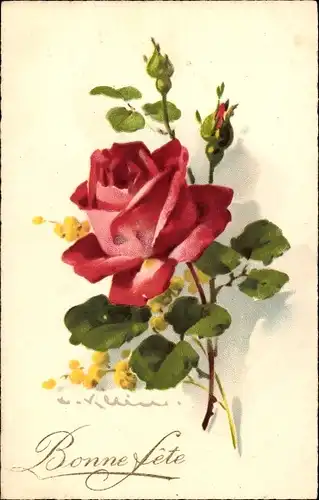 Künstler Ak Klein, Catharina, Glückwunsch, Rote Rose