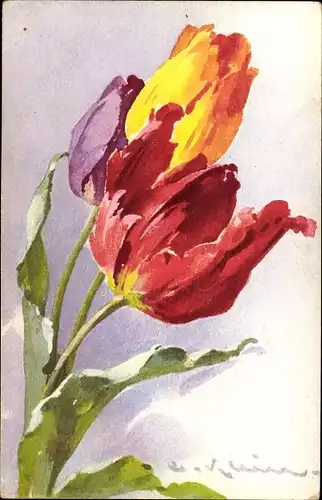 Künstler Ak Klein, C., Tulpen