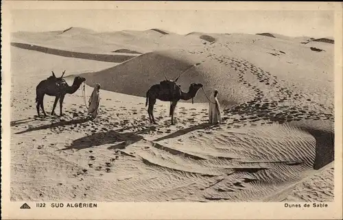 Ak Algerien, Sanddünen, Kamele