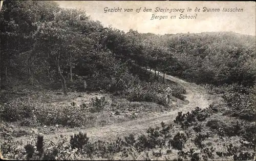 Ak Schoorl Nordholland Niederlande, Staringsweg in de Duinen tusschen Bergen en Schoorl