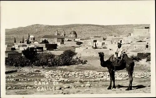 Foto Ak Cana Kana Galiläa Israel, Blick auf den Ort, Kamel