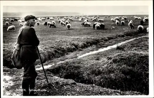 Ak Ruinen Drenthe Niederlande, Schaapskudde, Het Drentse Heideschaap, Schäfer