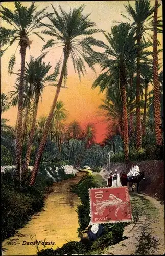 Ak In der Oase, Palmen
