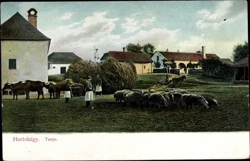 Ak Hortobágy Ungarn, Tanya, Dorfpartie