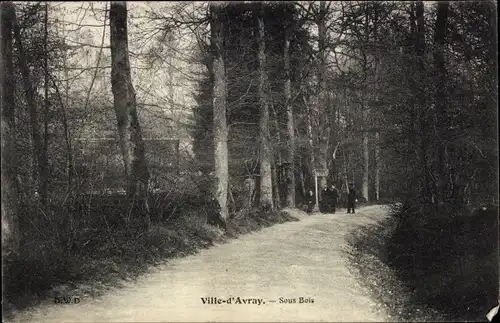 Ak Ville d'Avray Hauts de Seine, Sous Bois