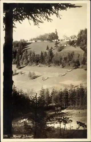 Ak Międzygórze Wölfelsgrund Schlesien, Spitzberg, Kirche Maria Schnee