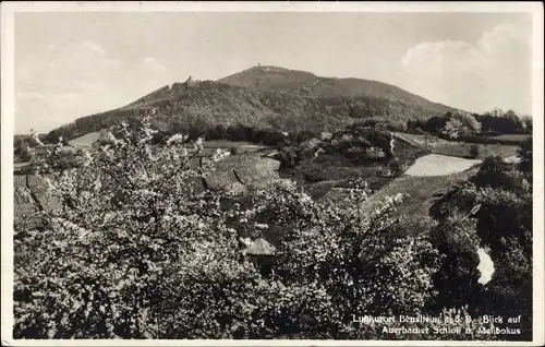 Ak Bensheim an der Bergstraße Hessen, Auerbacher Schloss, Melibokus