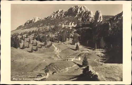 Ak Chiemgauer Alpen, Gschwendt, Kampenwand, Weg