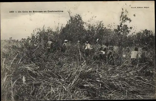 Ak Cochinchine Vietnam, Vietnamesen auf einem Feld