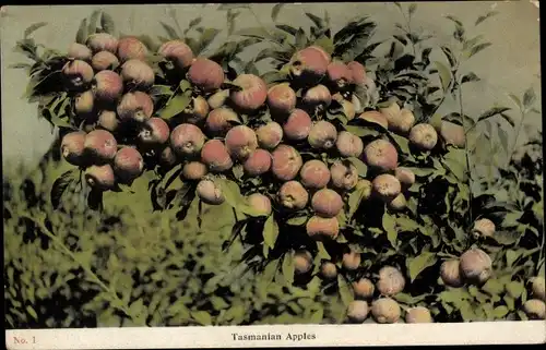 Ak Tasmanien Australien, Tasmanische Äpfel