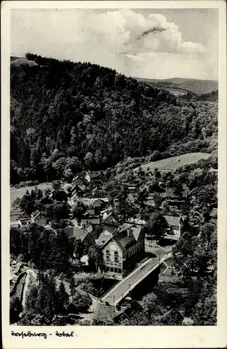 Ak Treseburg Thale im Harz, Gesamtansicht