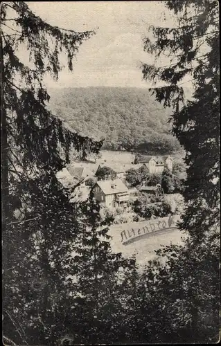 Ak Altenbrak Thale im Harz, Blick vom Philosophenweg, Mitteldorf, Hotel Weißes Ross