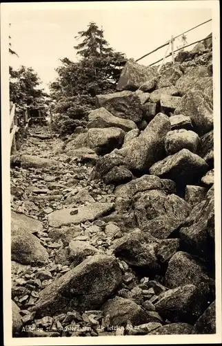 Ak Königskrug Braunlage im Oberharz, Achtermann, Aufstieg