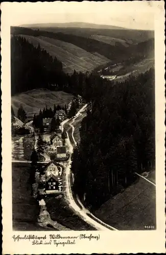 Ak Wildemann Oberharz, Blick ins Spiegeltal, Häuser