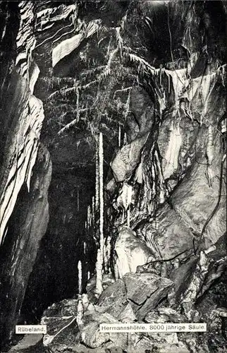 Ak Rübeland Oberharz am Brocken, Hermannshöhle, 8000 jährige Säule