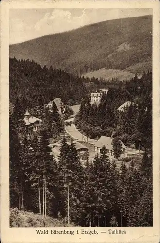 Ak Waldbärenburg Bärenburg Altenberg im Erzgebirge, Talblick