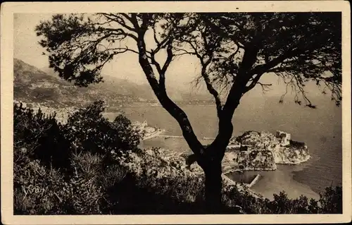 Ak Monte Carlo Monaco, Gesamtansicht