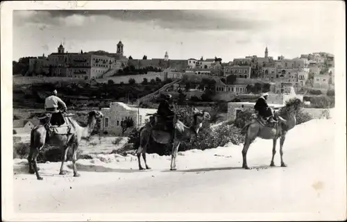 Ak Bethlehem Palästina, Gesamtansicht, Kamele, Karavane