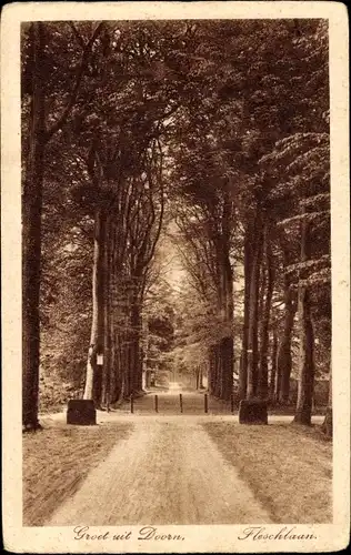 Ak Doorn Utrecht Niederlande, Fleschlaan