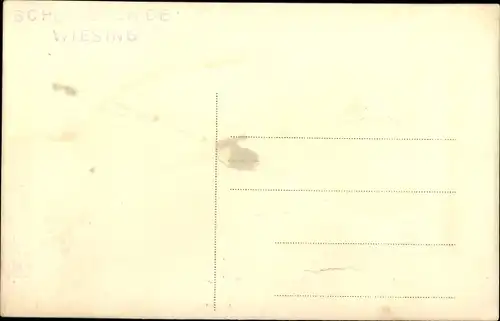 Foto Ak Wiesing Tirol, Schützengilde, Männer in Kostümen