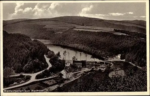 Ak Niederfischbach im Siegerland, Waldwirtschaft zum Alpensee, Tüschebachsmühle