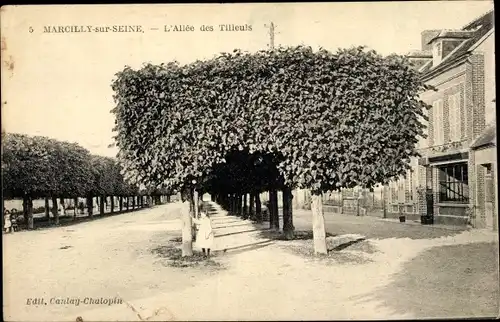 Ak Marcilly sur Seine Marne, L'Allee des Tilleuls