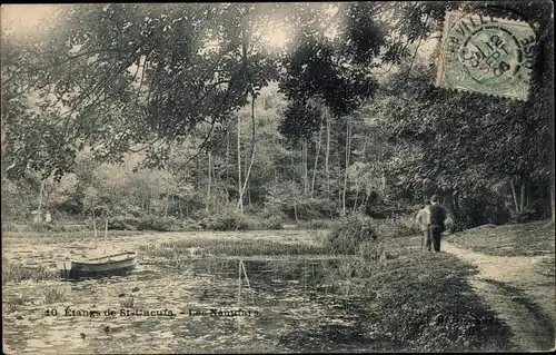 Ak Saint Cucufa Hauts de Seine, Les Nenufars, Etangs