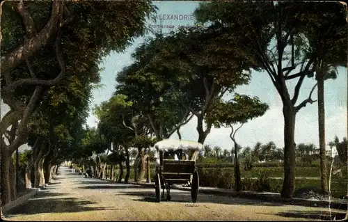 Ak Alexandria Ägypten, Ramleh Promenade