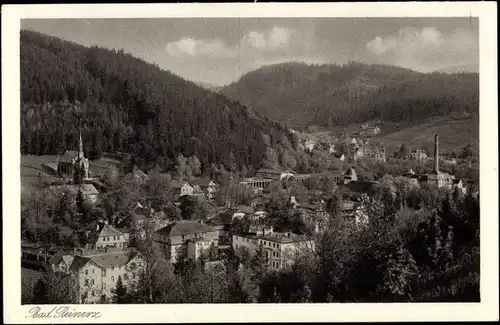 Ak Duszniki Zdrój Bad Reinerz Schlesien, Panorama