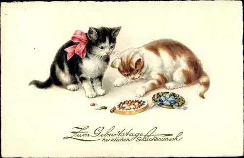 Ak Glückwunsch Geburtstag, Katzen, Pralinen