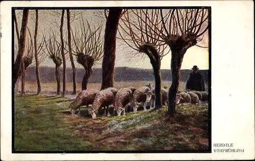 Künstler Ak Herdtle, Vorfrühling, Hirte mit Schafherde, Weidenbäume