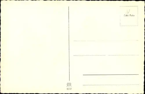 Ak Aufgepasst, Schäferhund, Halsband, Portrait