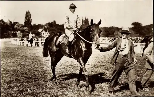 Ak Jockey auf einem Rennpferd, Hotweed