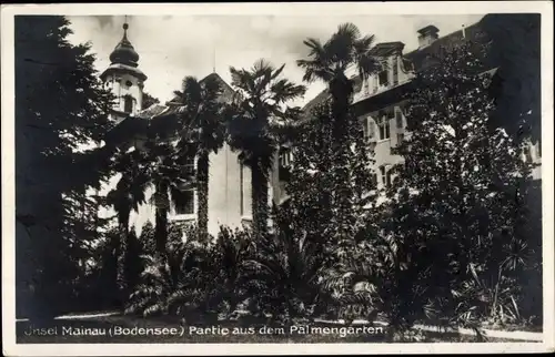 Ak Insel Mainau im Bodensee, Palmengarten