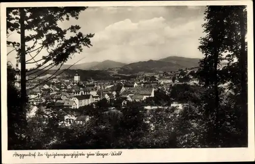 Ak Deggendorf im Bayerischen Wald Niederbayern, Gesamtansicht