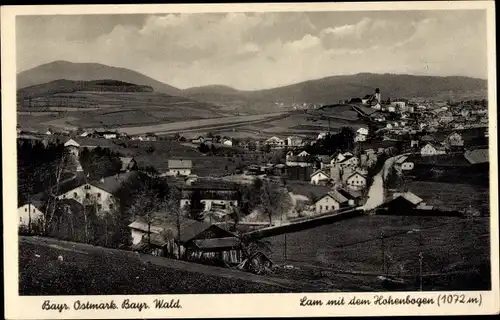 Ak Lam im Bayerischen Wald Oberpfalz, Hohenbogen, Ortsansicht