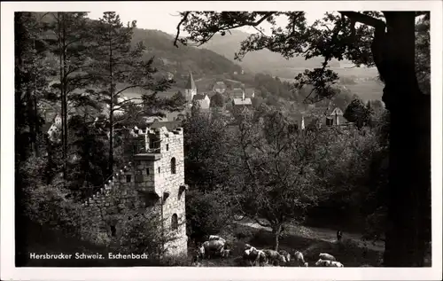 Ak Eschenbach Pommelsbrunn in Mittelfranken, Hersbrucker Schweiz, Ruine, Kühe