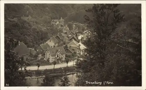 Ak Treseburg Thale im Harz, Teilansicht vom Ort, Wald