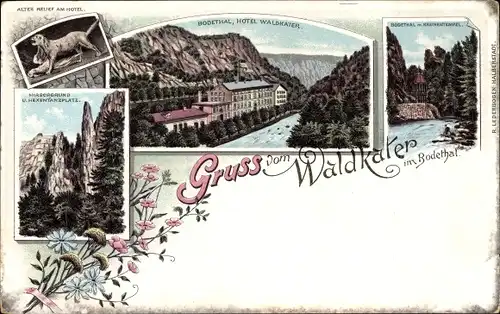 Litho Thale Harz, Hotel Waldkater im Bodetal, Kronentempel, Hexentanzplatz, Hirschgrund