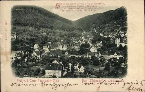 Ak Bad Liebenzell im Schwarzwald, Blick v. d. Unter-Haugtstetter Steig